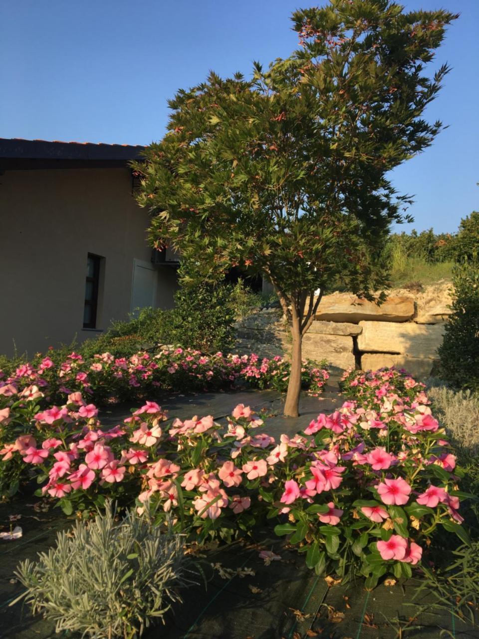 Agriturismo Da Mamma Alba  Exterior foto