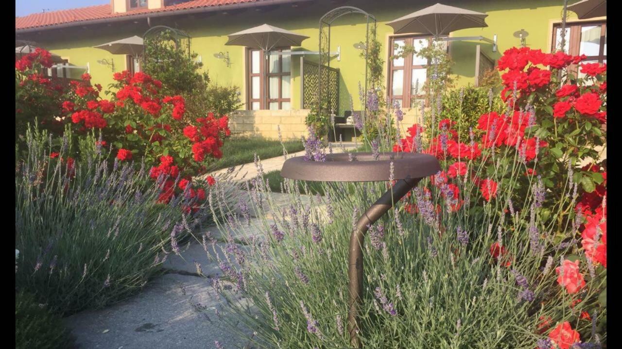 Agriturismo Da Mamma Alba  Exterior foto